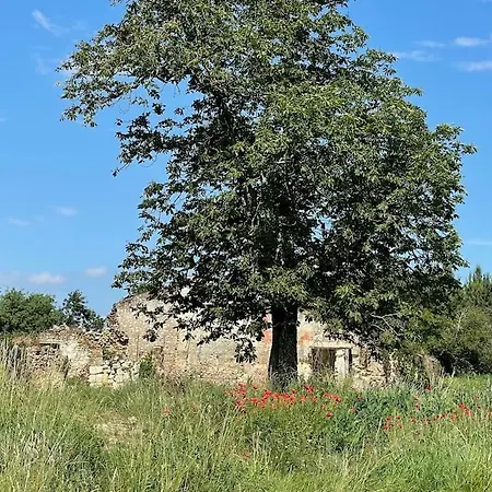 Petite Rousserie Sur Domaine La Rousserie Hébergement de vacances Cadillac-en-Fronsadais
